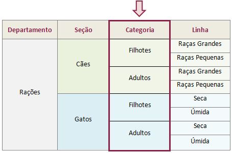 Categoria